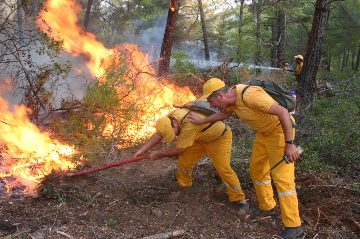 Orman Genel Müdürlüğü ve TİGEM işçilerinin toplu iş sözleşmesinde anlaşma