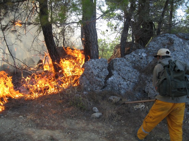 Öz Orman-İş Sendikası’nın Genel Başkanı Settar Aslan, Hazine ve Maliye