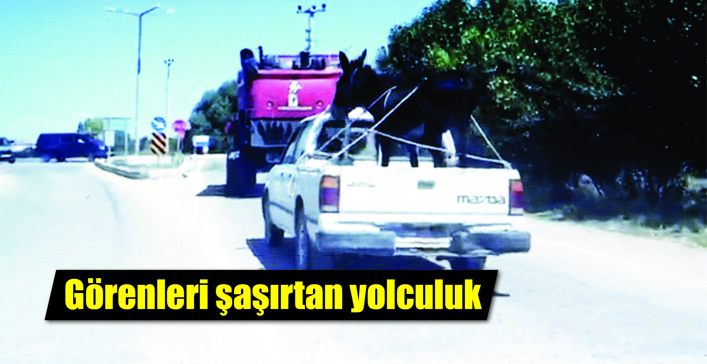 Yozgat'ın Boğazlıyan-Yenifakılı ilçesi arasında kamyonet kasasına dört tarafından bağlanan eşek,