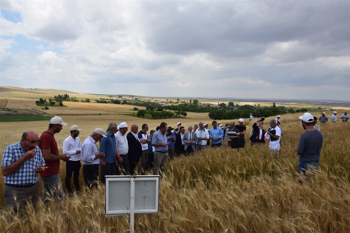 Türkiye’nin tahıl ambarı olarak görülen iller arasında yer alan Yozgat’ta