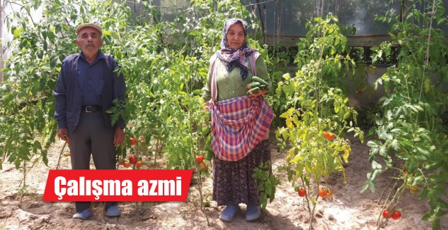 Bahçesinde değişik sebze meyve üretmekten zevk aldığını belirten Yangılı Kılıç