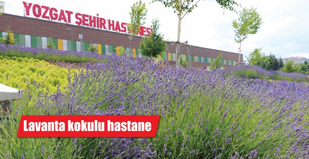 Yozgat Şehir Hastanesi, uluslararası standartlardaki sağlık hizmetinin yanı sıra, lavanta