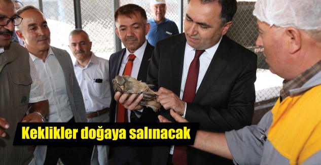 Yozgat Çalatlı Kanatlı Yaban Hayvanı Üretim Merkezi’nde üretilen 12 bin