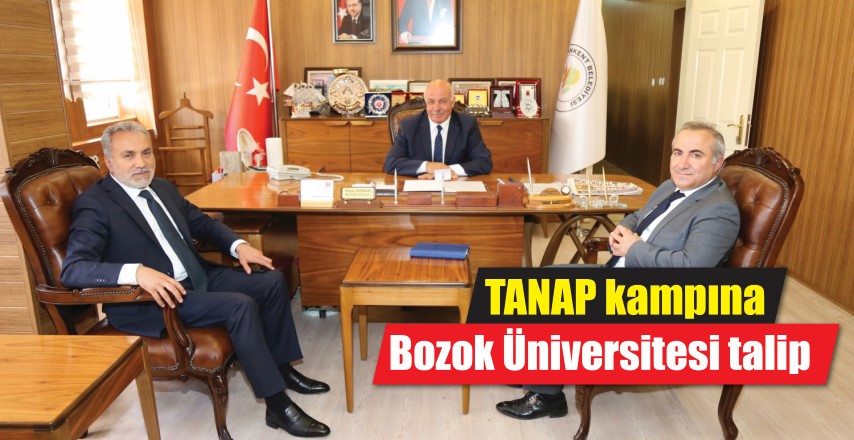 Azerbaycan doğalgazını Türkiye üzerinden Avrupa'ya taşıyacak Trans Anadolu Doğalgaz Boru