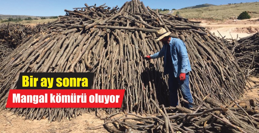 Yozgat’ın Çayıralan ilçesine aileleriyle gelen mevsimlik işçiler, Kayseri Orman Bölge