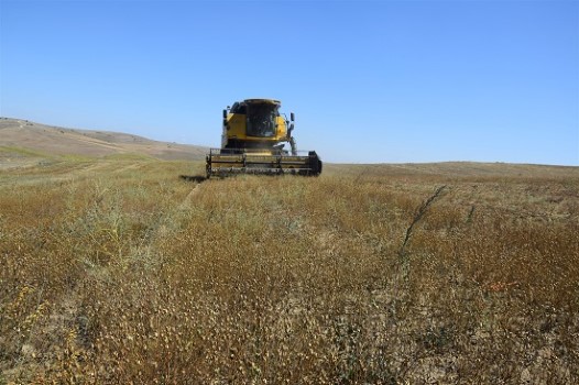 Yozgat İl Tarım ve Orman Müdürlüğü tarafından il genelinde ürün