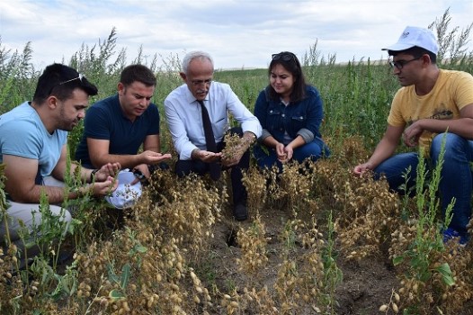Yozgat İl Tarım ve Orman Müdürlüğü tarafından bahar aylarında deneme