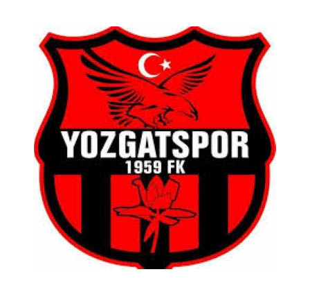 TFF 3. lig 3. grupta mücadele edecek olan temsilcimiz Yozgatspor