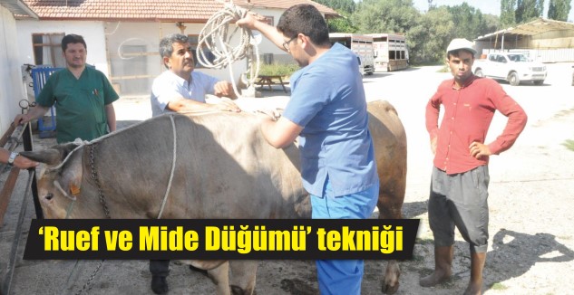 Yozgat Veteriner Hekimler Odası, yaklaşan Kurban Bayramı nedeniyle yaşanan kazaların