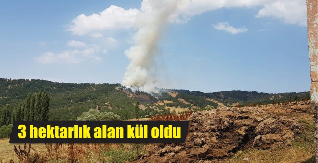 Yozgat'ın Çayıralan ilçesinde çıkan yangında 3 hektar otluk ve ormanlık