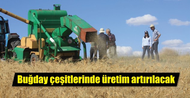 Yozgat İl Tarım ve Orman Müdürlüğü, il genelinde yerli tohum