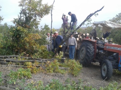 Tohuma toprakla buluşturmakla işbaşı yapan köylüler, bağ- bostan, tarla-tapan, saban-