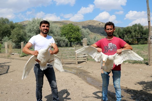 Yozgat’ta bilgisayar mühendisliği bölümünü bitirip farklı işlerde çalışan iki arkadaş,