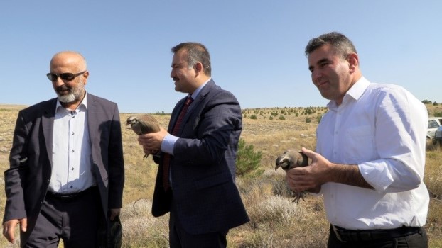 Yozgat Keklik Üretme İstasyonu’nda yetiştirilen 250 “Kınalı Keklik” doğaya salındı.