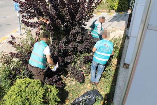 Yozgat Cumhuriyet Başsavcılığı Denetimli Serbestlik Müdürlüğü, Yozgat ve Sorgun Belediyesi