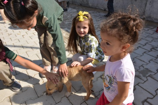 4 Ekim Dünya Hayvanları Koruma gününde ilkokul öğrencileri Sorgun Belediyesi