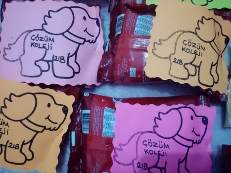 Yozgat Çözüm Koleji 2-B sınıfı öğrencileri, sosyal sorumluluk projesi kapsamında