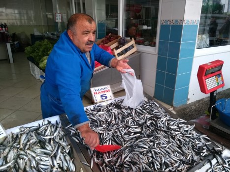 Balık sezonunda Yozgat’ta kilogramı 20 liradan tezgahlara gelen hamsinin kilogram