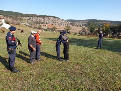 Yozgat’ın Akdağmadeni İlçesinde kaybolan büyükbaş hayvanları jandarma ekipleri, bularak sahibine