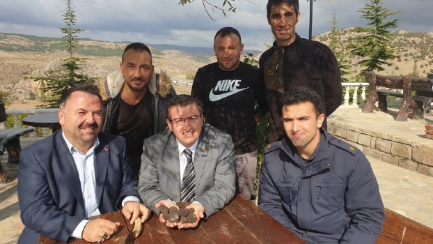 Yozgat’ın Çekerek ilçesinde ormanlık alanlarda doğal olarak yetişen ve ekonomik