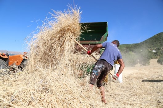 Yozgat Tarım ve Orman Müdürlüğü, bakanlıkları tarafından yayınlanan Bitkisel Üretime