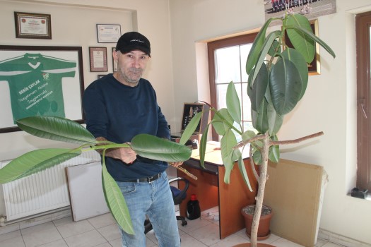 Yozgat’ta havaların soğumaya başladığı bu günlerde çiçek bakımının zor bir
