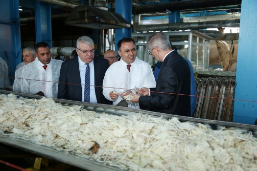 Türkiye’nin önemli tarım bölgelerinden biri olan Yozgat’ta şeker pancarı hasadı