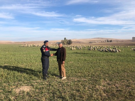 Yozgat’ın Boğazlıyan ilçesinde koyunlarını otlatan çobanın uyuması üzerine kaybolan sürü,