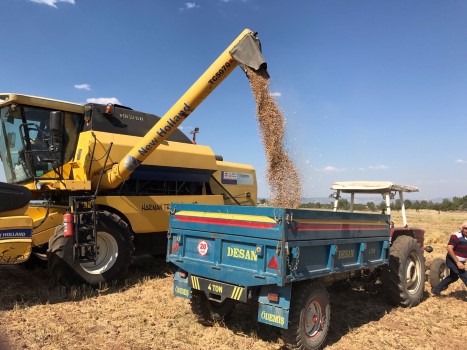 2018 yılı verilerine göre nohut üretim miktarı en yüksek 5