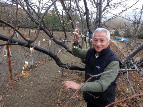 Kara kışın çetin geçtiği illerin başında yer alan Yozgat’ta, Aralık