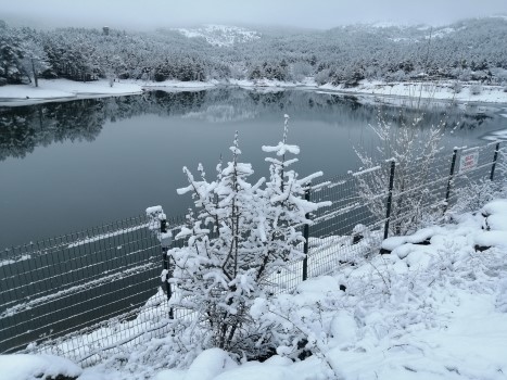 Yozgat'ta etkili olan kar yağışı Milli Park Çamlık’ta kartpostallık görüntüler