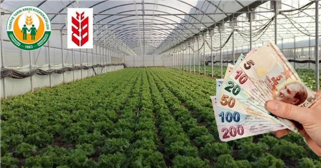 Ziraat Bankası ve Tarım Kredi Kooperatifleri, tarımsal üretime ilişkin finansman