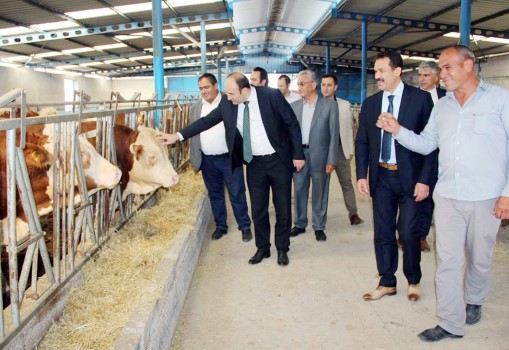 Konya Ovası Projesi (KOP) Bölge Kalkınma İdaresi Başkanı İhsan Bostancı,