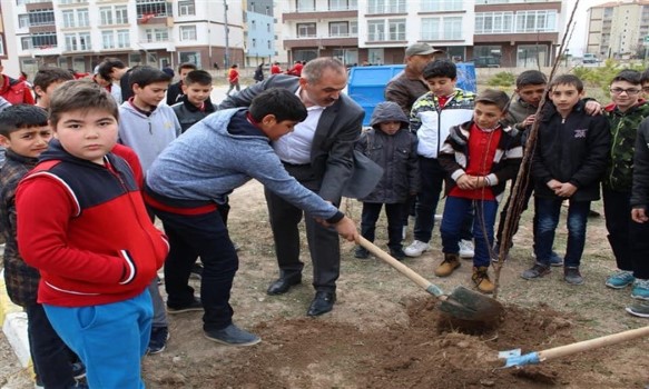 Boğazlıyan belediyesi tarafından 2020 yılı ağaçlandırma projesi kapsamında kent merkezinde