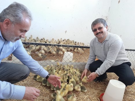 Yozgat Bozok Üniversitesi Rektörü Prof. Dr. Ahmet Karadağ, Rektör Yardımcısı