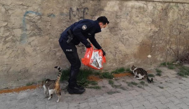 Akdağmadeni Kaymakamlığı tarafından; Koronavirüs tedbirleri kapsamında sokak hayvanları için park,