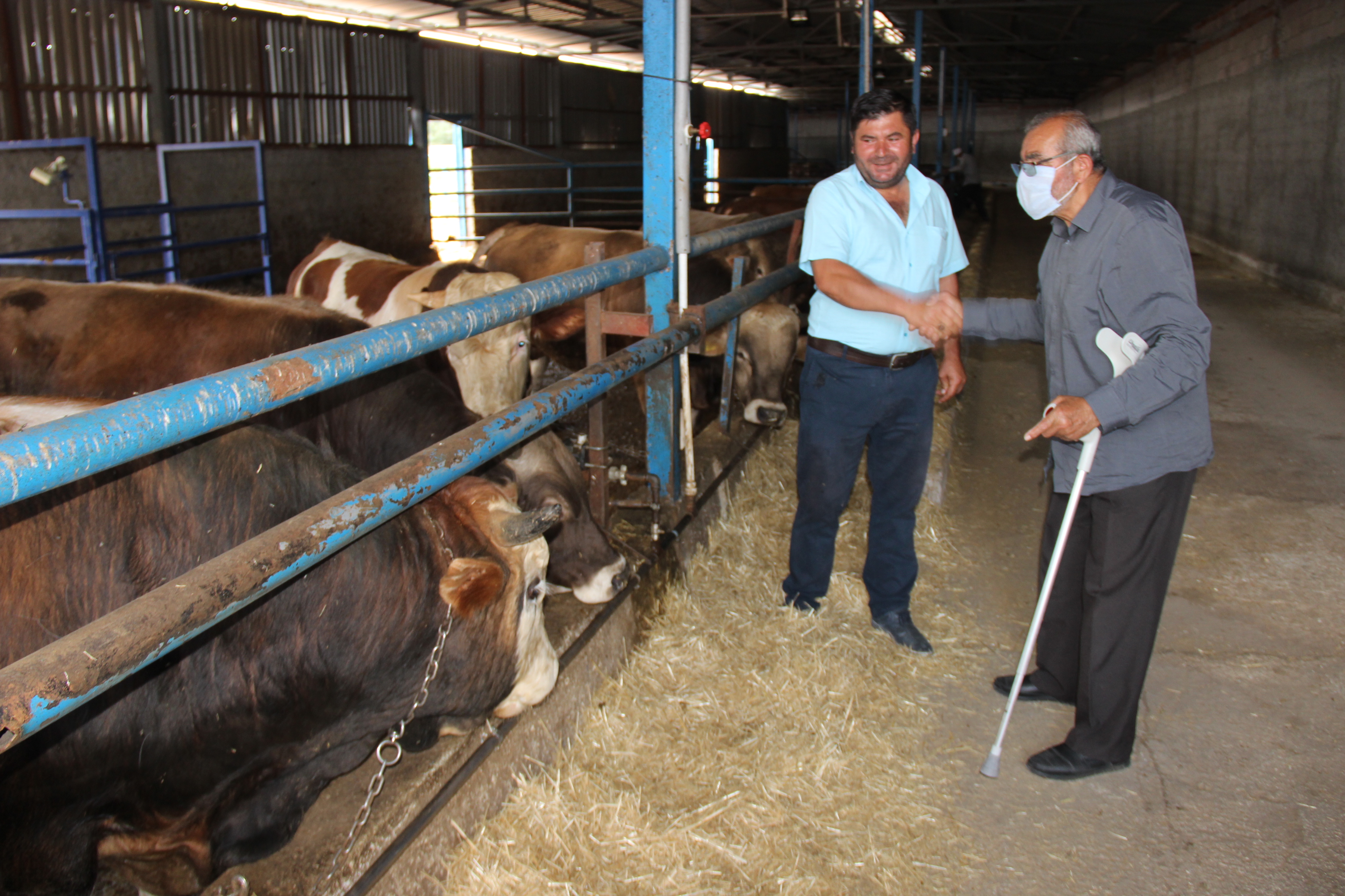 Yozgat -Ankara Karayolu, Organize Sanayi Bölgesi (OSB)karşısında kurulan 500 başlık