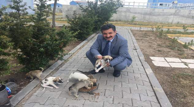 Vatandaşlarımızdan da isteğimiz bulundukları bölgelerde uygun yerlere su ve yemek