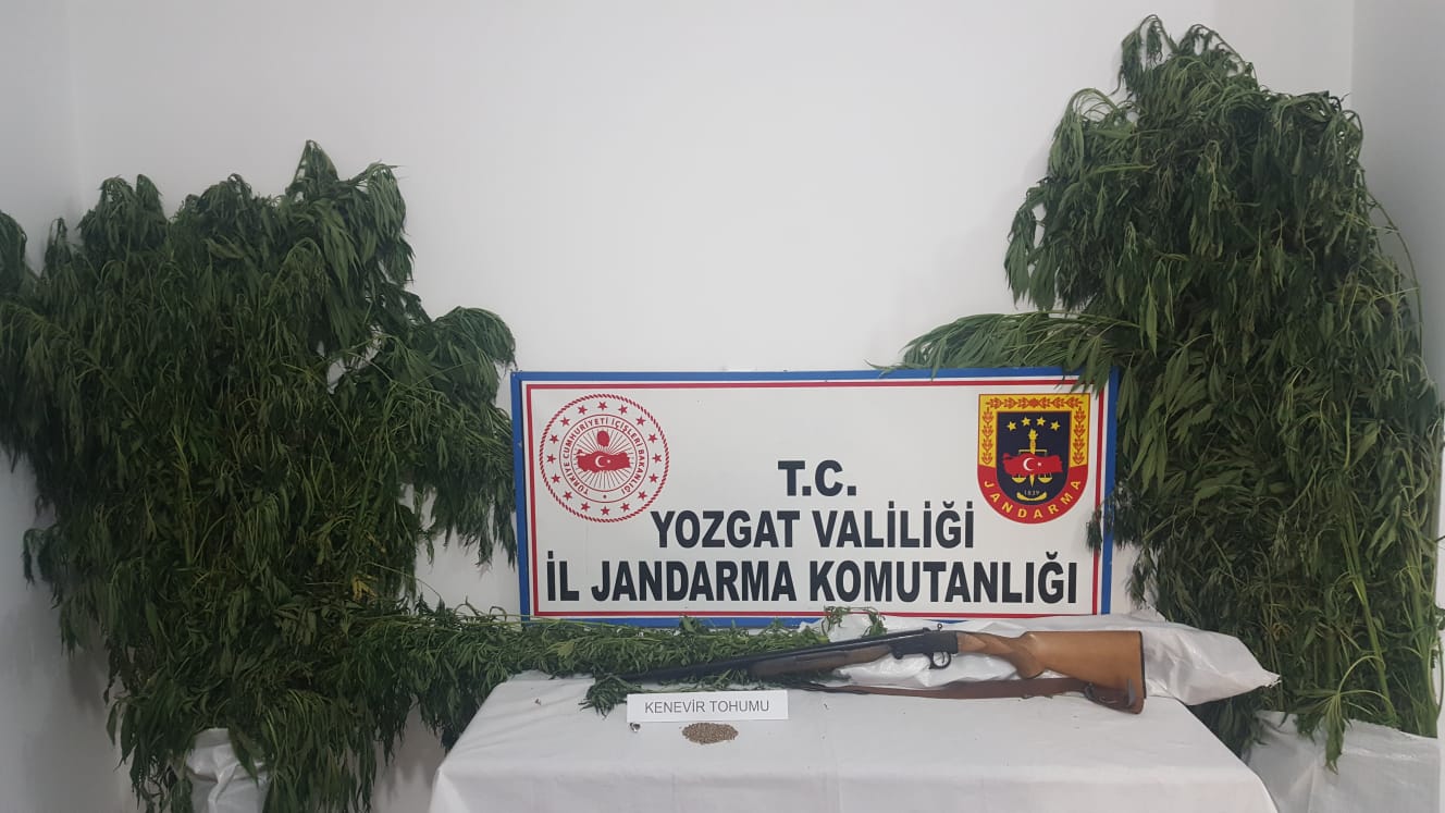 Yozgat İl Jandarma Komutanlığı ekipleri, Sorgun İlçesi Sarıhacılı Köyünde İ.Y.,