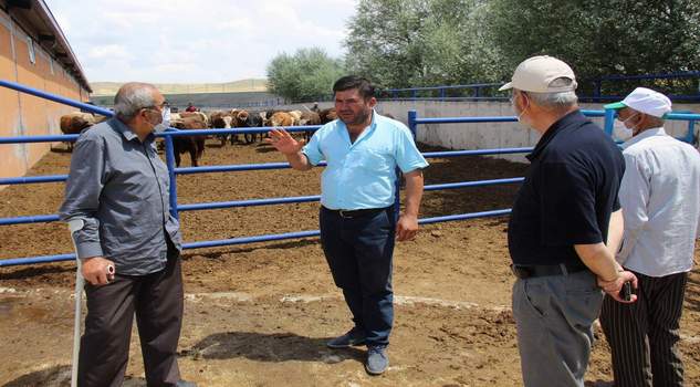 Kurban Bayramının yaklaşmasıyla birlikte hayvan üreticilerinde mesai yoğunluğu başladı.