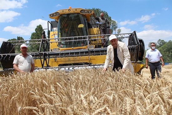 Yozgat İl Tarım ve Orman Müdürlüğü, il genelinde yerli buğday
