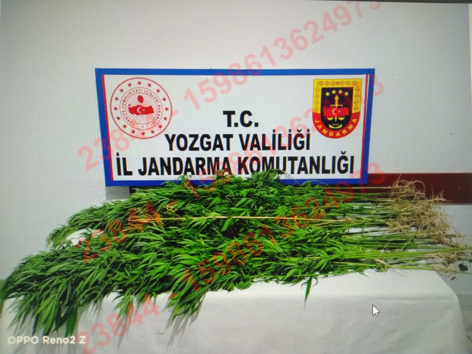 Yozgat İl Jandarma Komutanlığı ekipleri, Şefaatli İlçesi Kızılyar Köyünde yasadışı