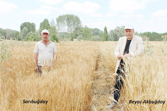 Yozgat İl Tarım ve Orman Müdürlüğü tarafından Merkez ve Sorgun’da