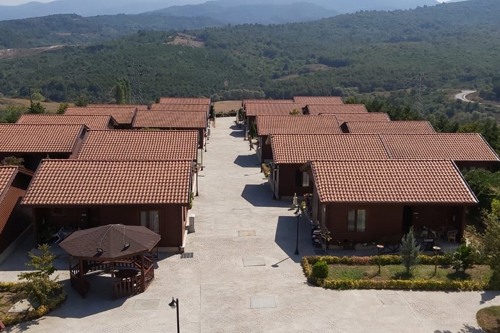 Aile, Çalışma ve Sosyal Hizmetler Bakanı Zehra Zümrüt Selçuk, yaşlı