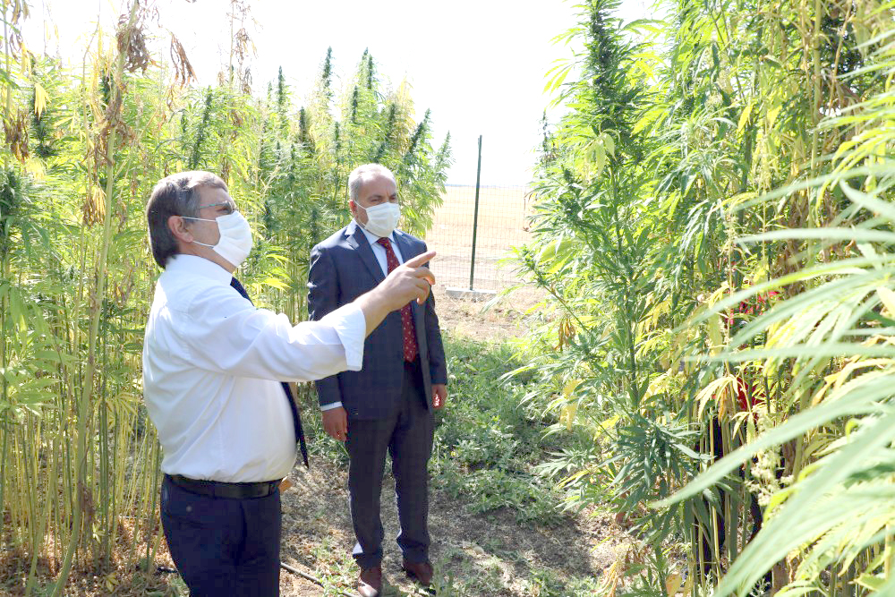 Cumhurbaşkanı Recep Tayyip Erdoğan’ın gündeme getirmesinin ardından son zamanlarda stratejik