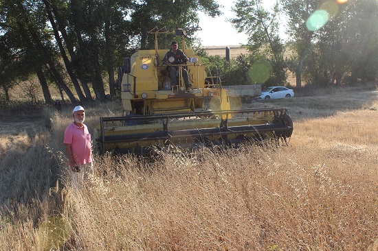 Yozgat İl Tarım ve Orman Müdürlüğü tarafından Boğazlıyan’a bağlı Gövdecili