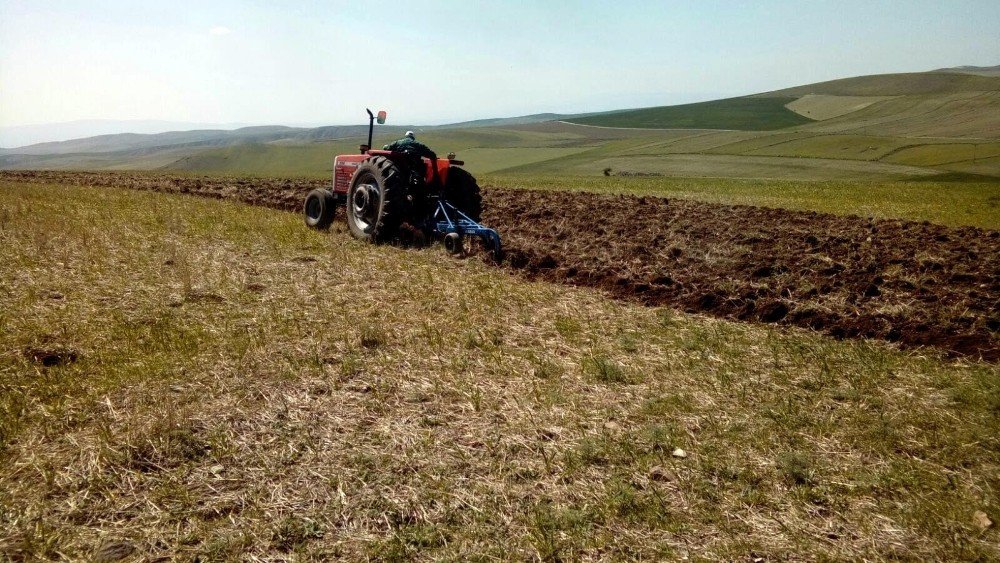 Türkiye’nin tahıl ambarı olarak bilinen illeri arasında yer alan Yozgat’ta