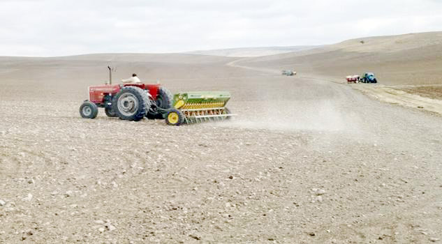 Yerköy Ziraat Odası Başkanı Cahit Metin, bölgelerinde çiftçilerin hububat ekimi