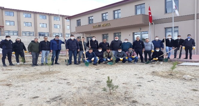 Akdağmadeni ilçesinde Açık Ceza İnfaz Kurumu personelleri, “Bir ağaç bir