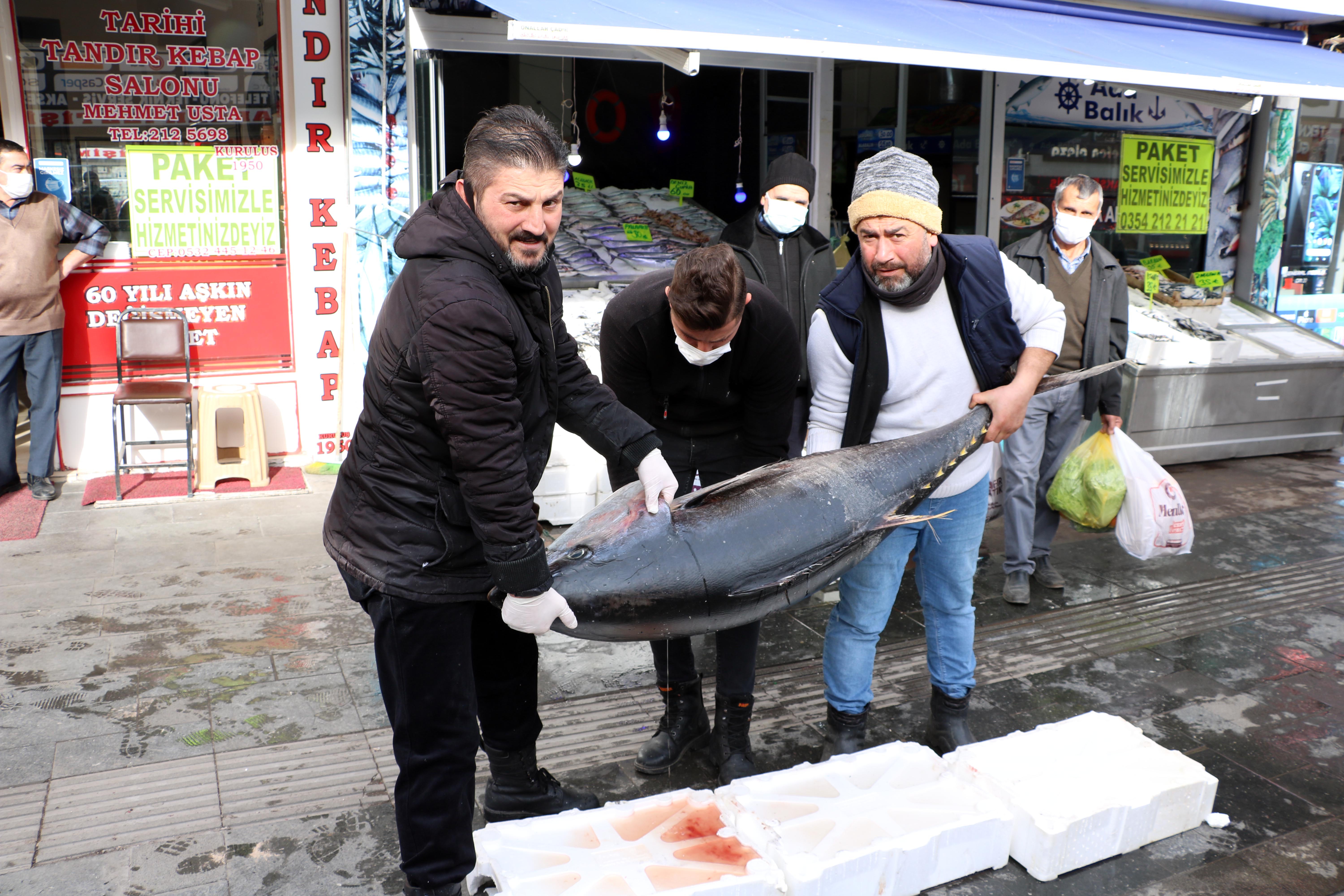 Yozgat’taki bir balıkçıda 75 kilo ağırlığında 1.50 uzunluğundaki orkinos balığı